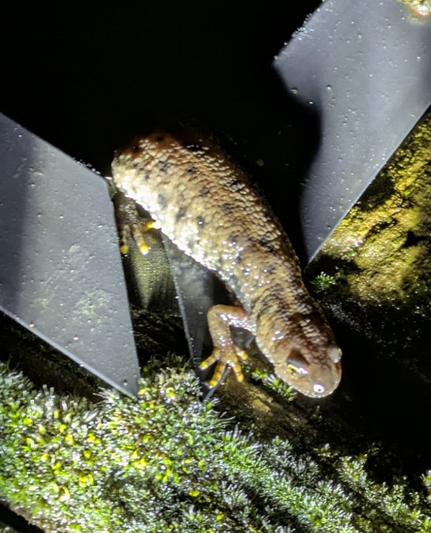 PXL 20260211 194517481